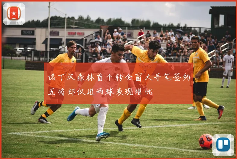 诺丁汉森林首个转会窗大手笔签约五将却仅进两球表现堪忧
