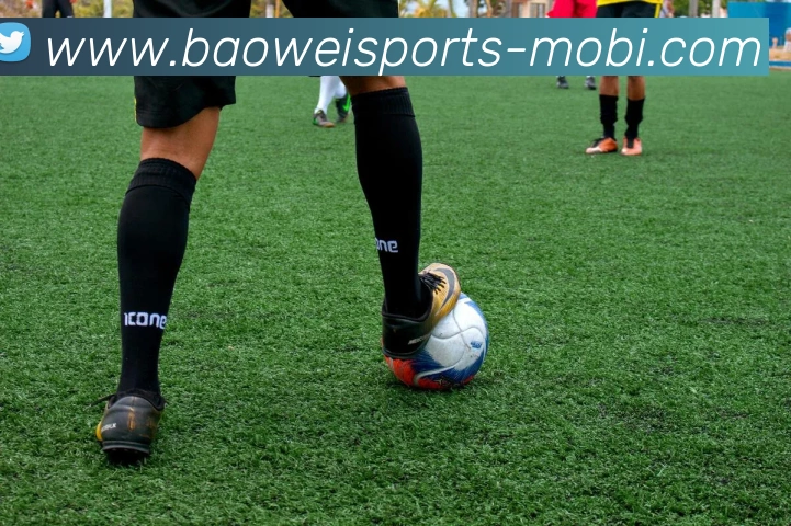 宝威体育平台生态图