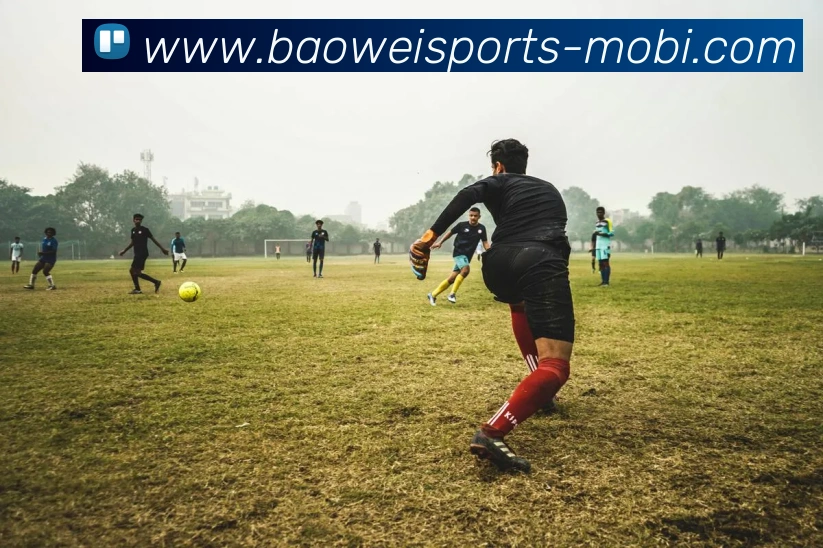 宝威体育APP 封面图